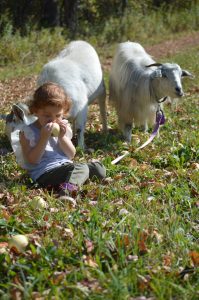 Seeing the Farm Through a Child's Eyes