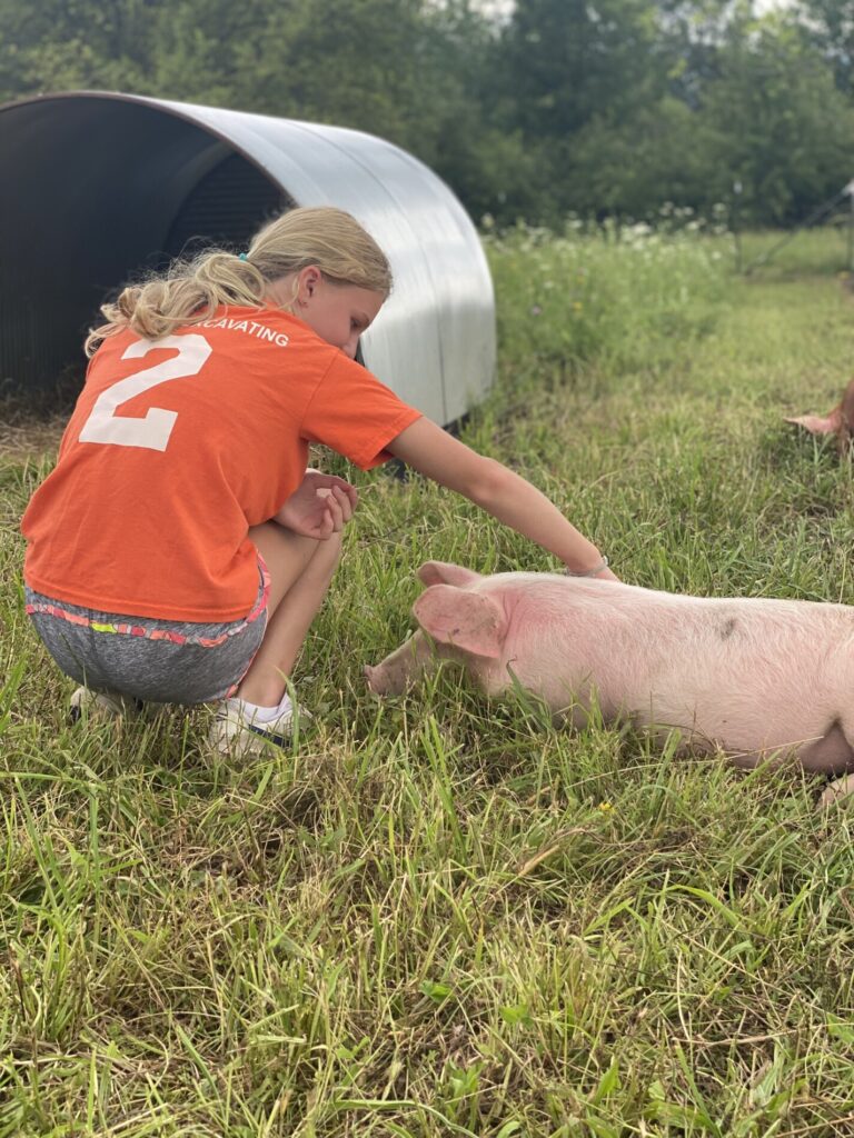 young girl petting a pig